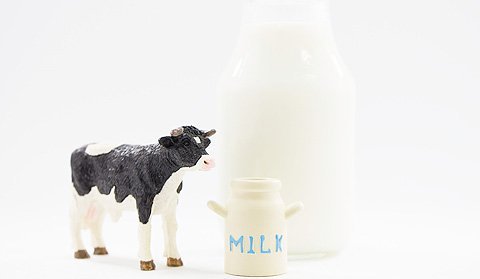 普段から飲んでいるのに、実は知らないことばかり？!「牛乳」のことを知れば、もっと美味しく飲める！