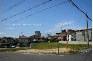 コラム写真