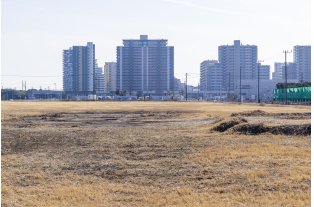 コラム写真