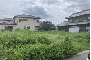 コラム写真