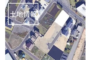 コラム写真