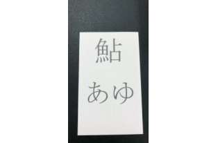 さかなへんかるた裏面（鮎・あゆ）