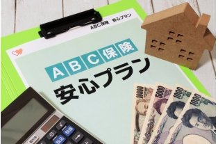 外貨建て保険は多くの金融商品の選択肢の一つ